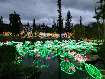 美らヤシパークオキナワ・東南植物楽園に投稿された画像（2021/12/27）