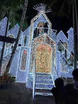 美らヤシパークオキナワ・東南植物楽園に投稿された画像（2021/12/27）