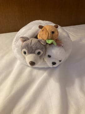 旭川市旭山動物園に投稿された画像（2021/12/27）