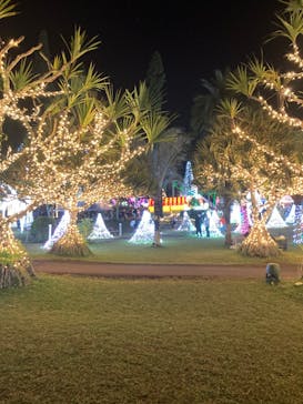 美らヤシパークオキナワ・東南植物楽園に投稿された画像（2021/12/27）