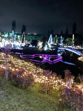 美らヤシパークオキナワ・東南植物楽園に投稿された画像（2021/12/27）