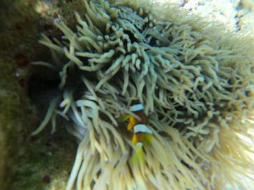 武藤潜水に投稿された画像（2021/12/28）