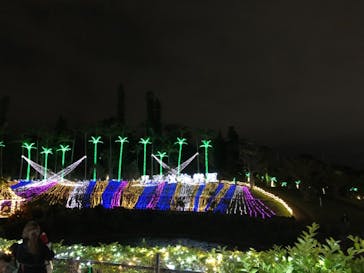 美らヤシパークオキナワ・東南植物楽園に投稿された画像（2021/12/28）