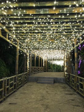 美らヤシパークオキナワ・東南植物楽園に投稿された画像（2021/12/28）