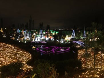 美らヤシパークオキナワ・東南植物楽園に投稿された画像（2021/12/28）