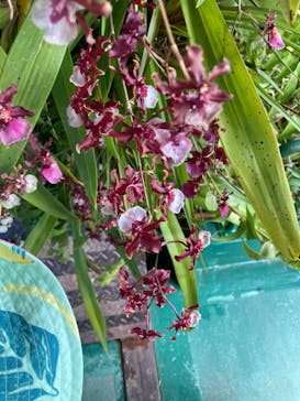 ビオスの丘に投稿された画像（2021/12/28）