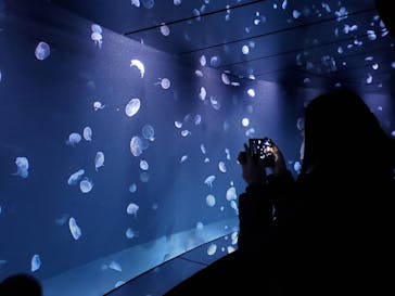 サンシャイン水族館に投稿された画像（2021/12/28）