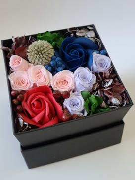 ずこうしつ〜sugamo〜に投稿された画像（2021/12/28）