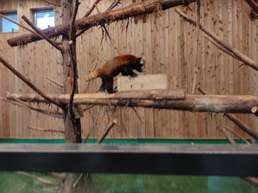 伊豆シャボテン動物公園に投稿された画像（2021/12/28）