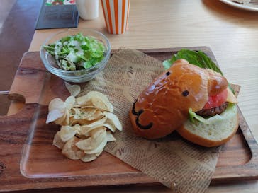 伊豆シャボテン動物公園に投稿された画像（2021/12/28）