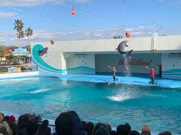 南知多ビーチランド＆南知多おもちゃ王国に投稿された画像（2021/12/28）