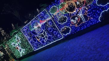 美らヤシパークオキナワ・東南植物楽園に投稿された画像（2021/12/28）