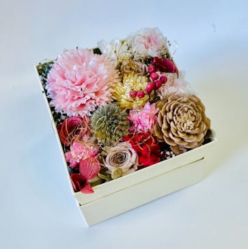 ずこうしつ〜sugamo〜に投稿された画像（2021/12/28）