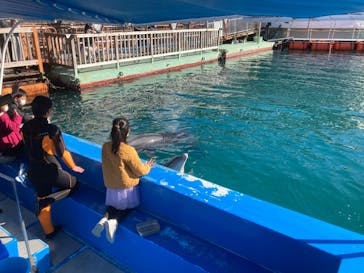 下田海中水族館に投稿された画像（2021/12/28）
