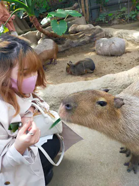 神戸どうぶつ王国に投稿された画像（2021/12/28）