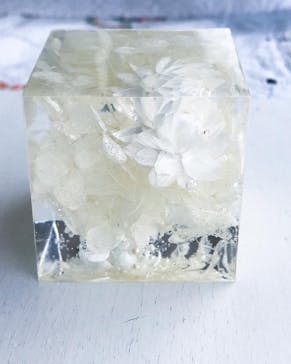 ずこうしつ〜sugamo〜に投稿された画像（2021/12/28）