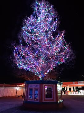 東武動物公園に投稿された画像（2021/12/28）