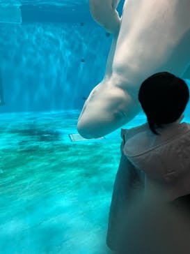 島根県立 しまね海洋館に投稿された画像（2021/12/28）