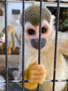 ネオパークオキナワに投稿された画像（2021/12/28）