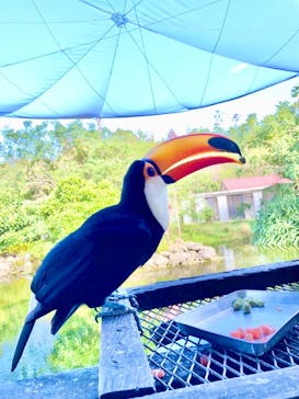 ネオパークオキナワに投稿された画像（2021/12/28）