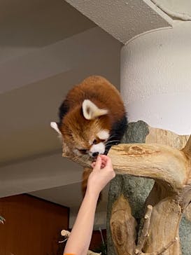 ネオパークオキナワに投稿された画像（2021/12/28）