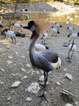 ネオパークオキナワに投稿された画像（2021/12/28）