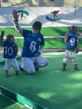 おさるランド＆アニタウン　日光さる軍団劇場に投稿された画像（2021/12/28）