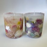 ずこうしつ〜sugamo〜に投稿された画像（2021/12/28）