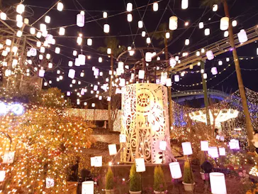 ひらかたパークに投稿された画像（2021/12/28）