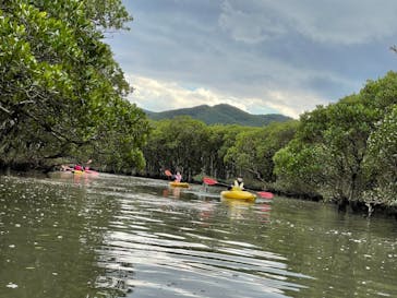 マングローブ茶屋に投稿された画像（2021/12/28）