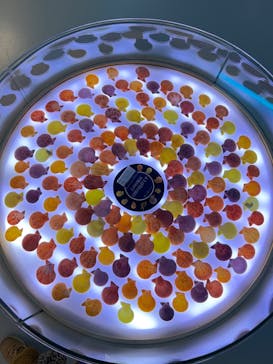 古宇利オーシャンタワーに投稿された画像（2021/12/28）