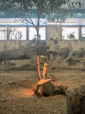 那須どうぶつ王国に投稿された画像（2021/12/28）