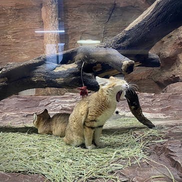 那須どうぶつ王国に投稿された画像（2021/12/28）