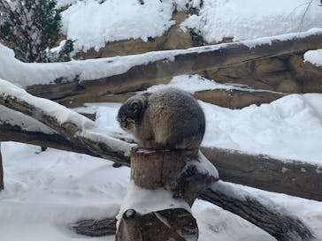 那須どうぶつ王国に投稿された画像（2021/12/28）