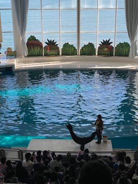 アクアワールド茨城県大洗水族館に投稿された画像（2021/12/28）