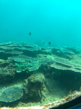 串本海中公園水族館に投稿された画像（2021/12/28）