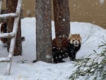 旭川市旭山動物園に投稿された画像（2021/12/28）