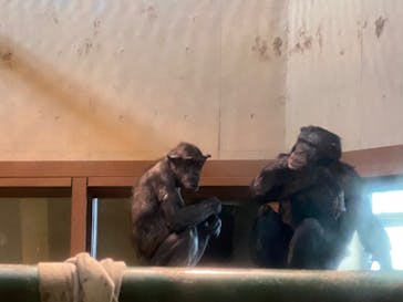 旭川市旭山動物園に投稿された画像（2021/12/28）