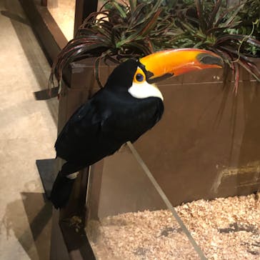 Moff animal world MARK IS みなとみらい店に投稿された画像（2021/12/28）