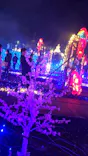 伊豆ぐらんぱる公園に投稿された画像（2021/12/29）