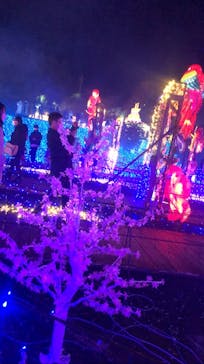 伊豆ぐらんぱる公園に投稿された画像（2021/12/28）