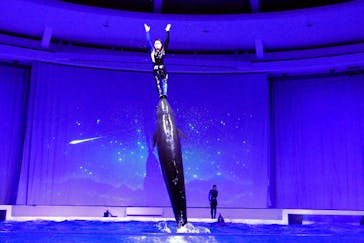 アクアワールド茨城県大洗水族館に投稿された画像（2021/12/28）