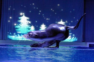 アクアワールド茨城県大洗水族館に投稿された画像（2021/12/28）