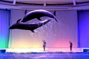 アクアワールド茨城県大洗水族館に投稿された画像（2021/12/28）