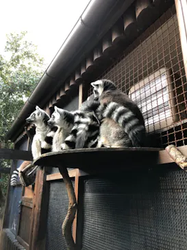 神戸どうぶつ王国に投稿された画像（2021/12/28）