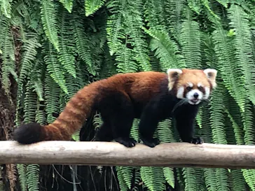 神戸どうぶつ王国に投稿された画像（2021/12/28）