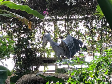 神戸どうぶつ王国に投稿された画像（2021/12/28）