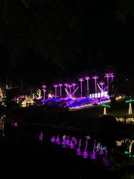 美らヤシパークオキナワ・東南植物楽園に投稿された画像（2021/12/28）