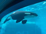 名古屋港水族館に投稿された画像（2021/12/29）