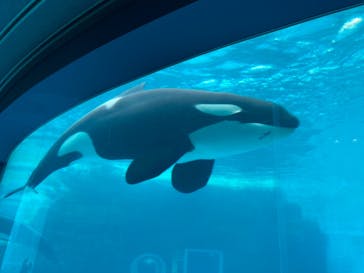 名古屋港水族館に投稿された画像（2021/12/29）